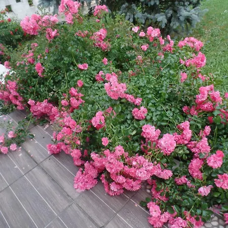 Maison Marysa 3* Мериньяк