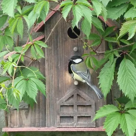 Maison Marysa Гостевой дом Мериньяк