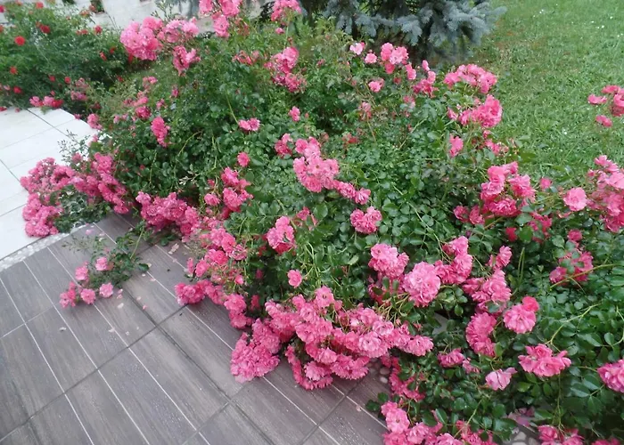 Maison Marysa 3* Mérignac