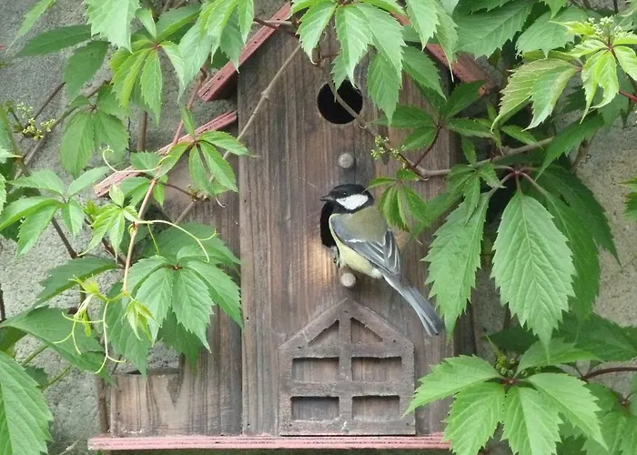 Maison Marysa Gæstehus Mérignac