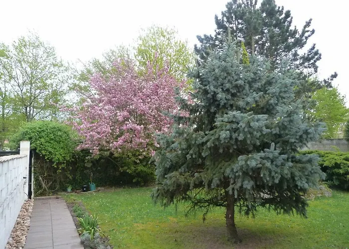 Maison Marysa Mérignac